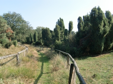 Schermbeck : Impressionen aus dem Naturschutzgebiet Loosenberge